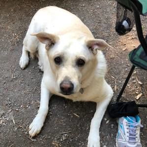 Meet your Posher, Maggie